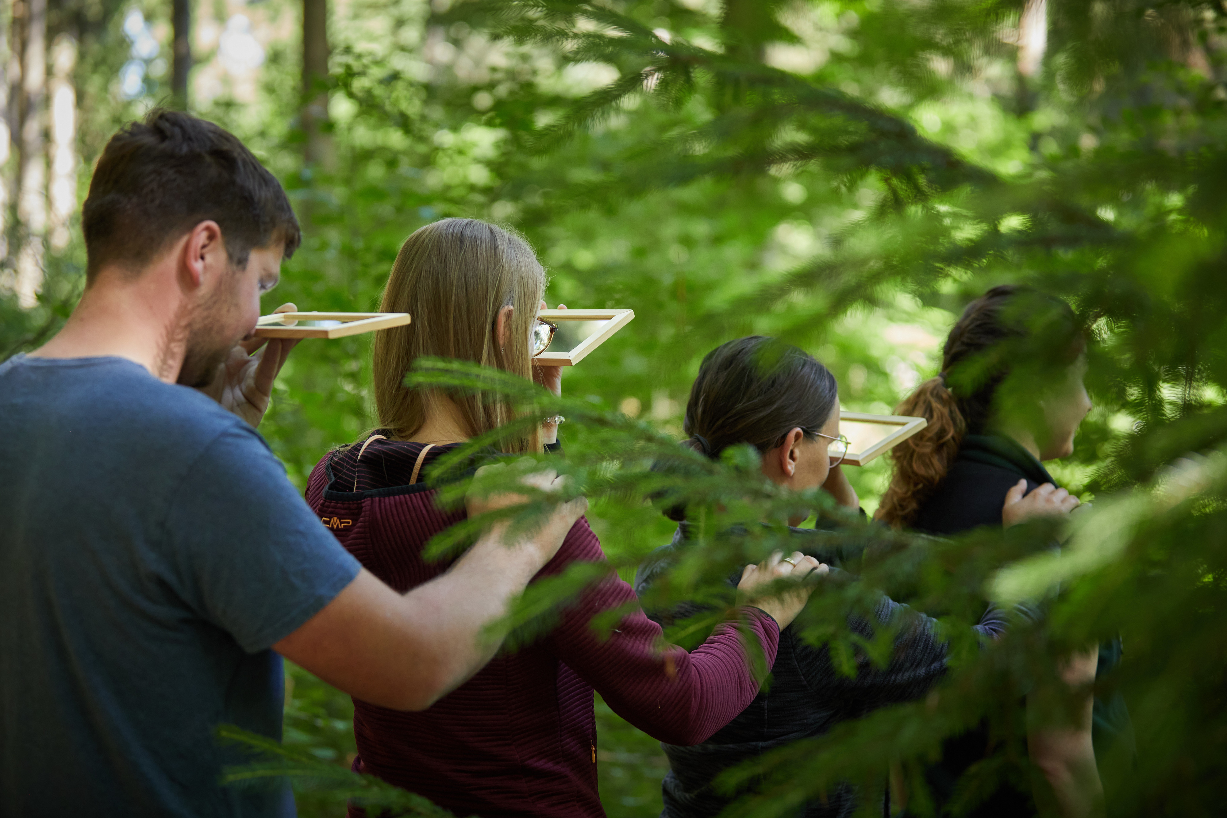 Eine Gruppe von Männern und Frauen geht im Gänsemarsch durch den Wald und beobachtet mit Spiegeln die Baumkronen