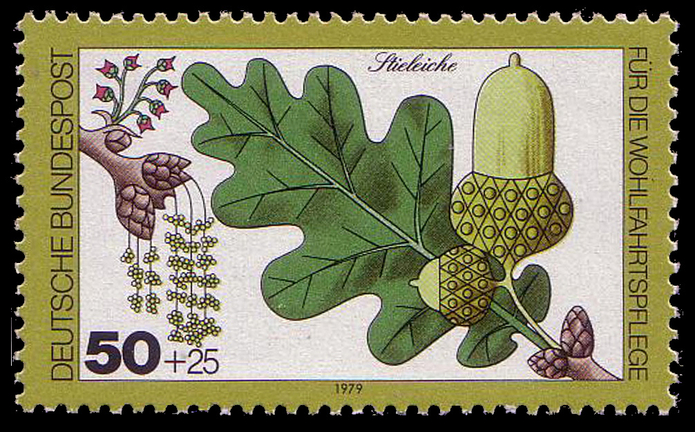 Stieleiche auf Briefmarke