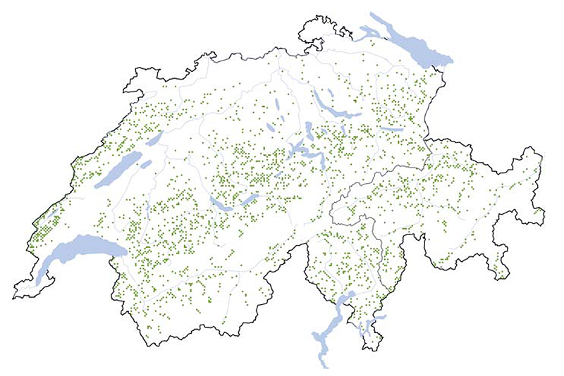 Distribution of rowans on NFI sample plots