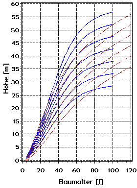 Modelliertes Höhenwachstum (H100BB) von Abies grandis in Baden-Württemberg im Vergleich zum Höhenwachstum von Pseudotsuga menziesii (braun, gestrichelt).
