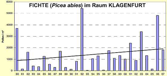 Positiver Trend der Pollenproduktion der Fichte