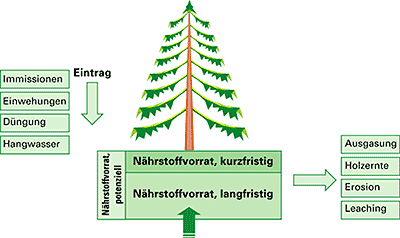 Abbildung 1: Nährstoffbilanz