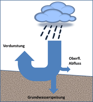 Schema Wasserhaushalt