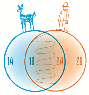 Struktur von Räumlichen Konzeptionen, die Aktivitäts-/ Ruhebereiche von Wildtieren (1) und die Aktivitätsbereiche der Menschen (2) integrieren und wie folgt aufgeteilt sind: 1a: Wildruhebereich, 1 b: Wildkernbereich, 2 b: Übergangsbereich, 2 a: Walderlebnisbereich