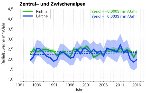 Zuwachschronologien und Konfidenzintervalle für Fichte und Lärche sowie Fichte und Weißkiefer in zwei Regionen Österreichs