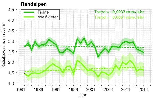 Zuwachschronologien und Konfidenzintervalle für Fichte und Lärche sowie Fichte und Weißkiefer in zwei Regionen Österreichs