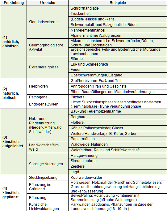 Entstehungsarten und Ursachen für die Existenz lichter Wälder in Südwestdeutschland (nach Rupp 2013, verändert).