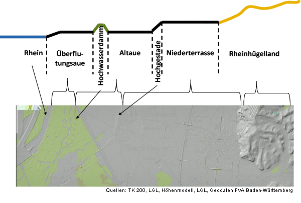 Schema der Naturraumgliederung zwischen der Stromaue des Rheins und dem Rheinhügelland