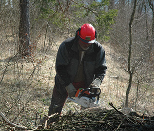 Waldrandpfleger im Einsatz