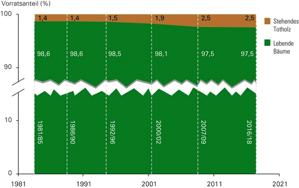 Der Anteil des stehenden Totholzes am Gesamtvorrat seit 1981
