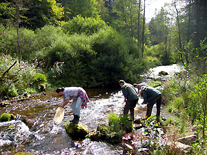 fva_wasserhandbuch_fortbildungen_lebensgemeinschaften1