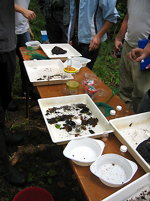 fva_wasserhandbuch_fortbildungen_lebensgemeinschaften2