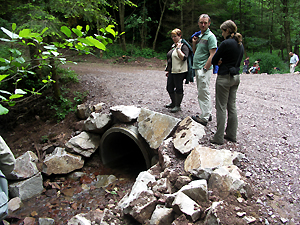 Durchgängigkeitsmaßnahme