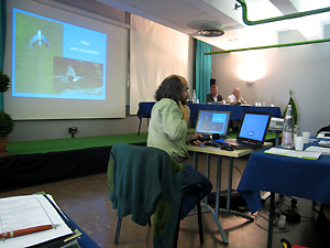 Avifauna - Pascal Denis