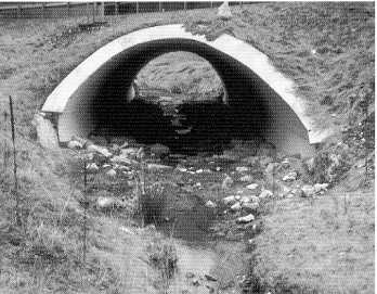 Ökologische Durchgängigkeit