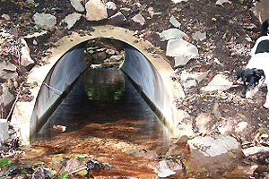 Naturnahe Gewässerquerung
