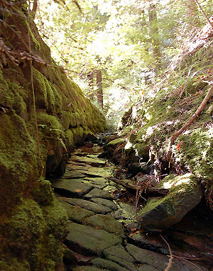 fva_wasserhandbuch_kosten_abb3