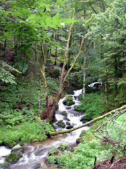 Aiternbach, Landkreis Lörrach, Südschwarzwald