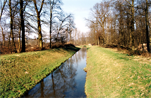 Der Ooser Landgraben bei Rastatt