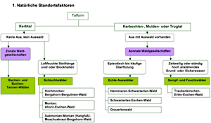 Flußdiagramme Übersicht