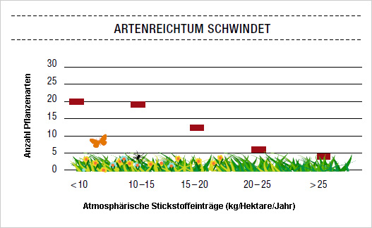 Artenreichtum