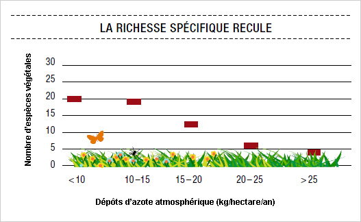 la richesse spécifique recule