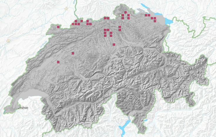 Répartition de Bactrospora dryina en Suisse