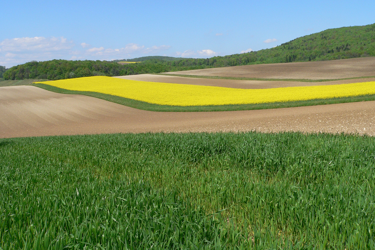 Ausgeräumte Landschaft