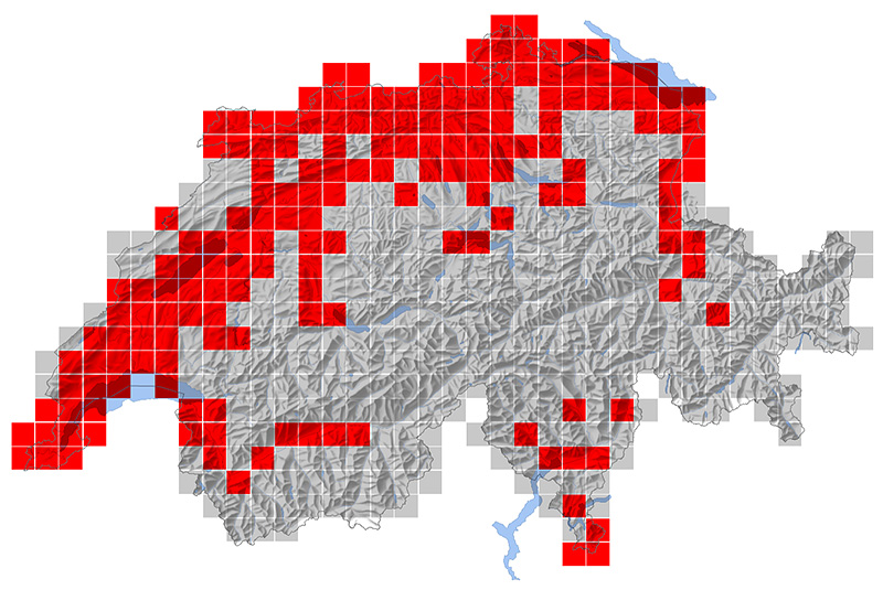 Répartition du loriot d'Europe en Suisse