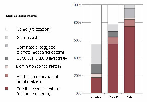 Motivi della morte