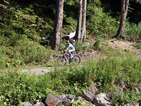 Biker im Wald