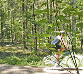 Circolare in bosco in bicicletta