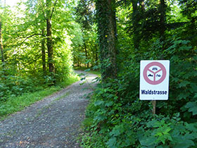 Waldweg