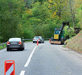 Holzereiarbeiten an einer Strassenböschung