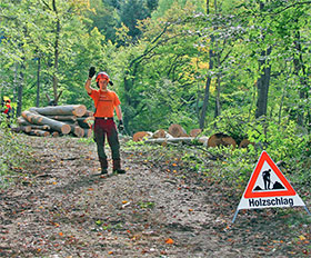 Sperrung Waldweg