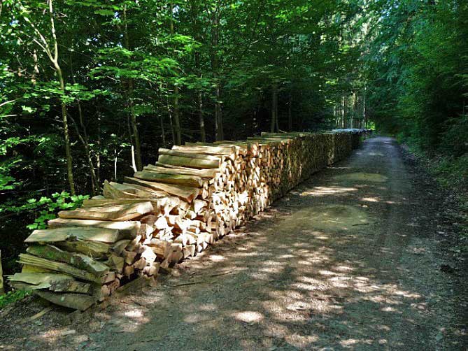 In Deutschland heizt jeder vierte Haushalt mit Holz