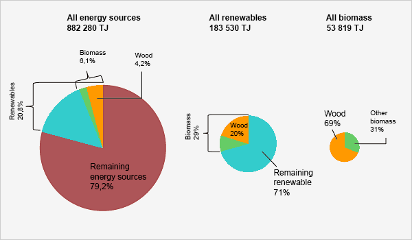  Energy wood in the context of energy sources