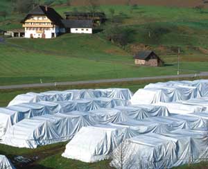 Folienlager in einem Schwarzwälder Tal