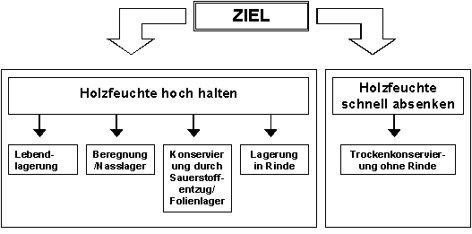 Schema Konservierungsmöglichkeiten