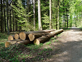 Holzpolter