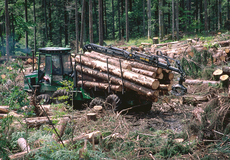 Sturmholz dort räumen, wo es rentiert
