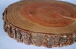 Einheimisches Douglasienholz ist für eine Vielzahl von Verwendungen geeignet