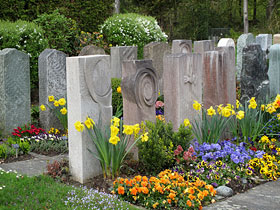 Friedhof