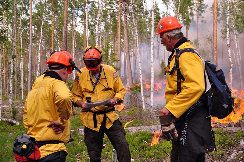 Der Einsatz von kontrolliertem Feuer zur Verbesserung von Bestandesstrukturen spielt nicht nur im Waldnaturschutz eine wichtige Rolle.