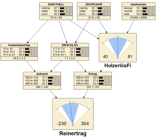 Bayes-Netz im Kontext des Reinertrags eines Forstbetriebs