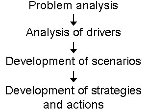 Scenario planning steps