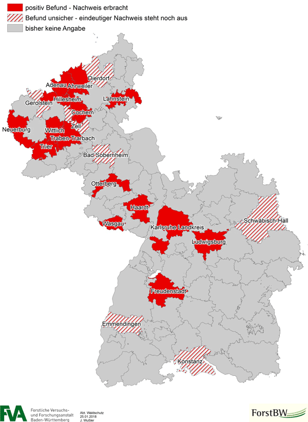 Positive Befalls-Befunde sowie noch nicht abschließend validierte Vorkommen der Douglasien-Gallmücken in den unteren Forstbehörden von Baden-Württemberg und den Forstämtern in Rheinland-Pfalz.