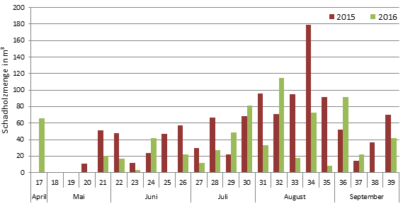 Im Rahmen der Claimbegänge erfasste Stehendbefallsmengen im Pufferstreifen des NLP Schwarzwald.