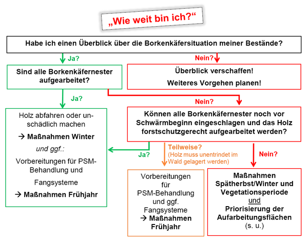 Überblick Borkenkäfersituation