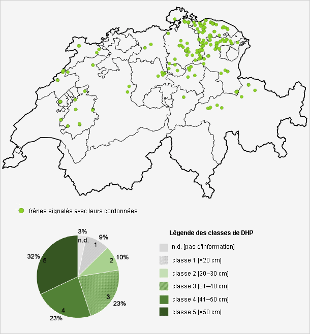 Frênes signalés en 2016 et 2017 comme étant potentiellement tolérants